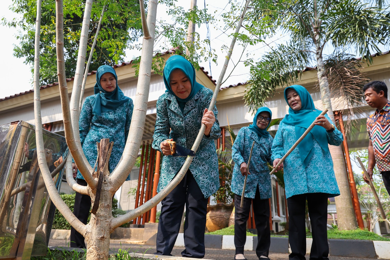 TP PKK Provinsi Banten Luncurkan  Gerakan Sejuta Pohon Kelor