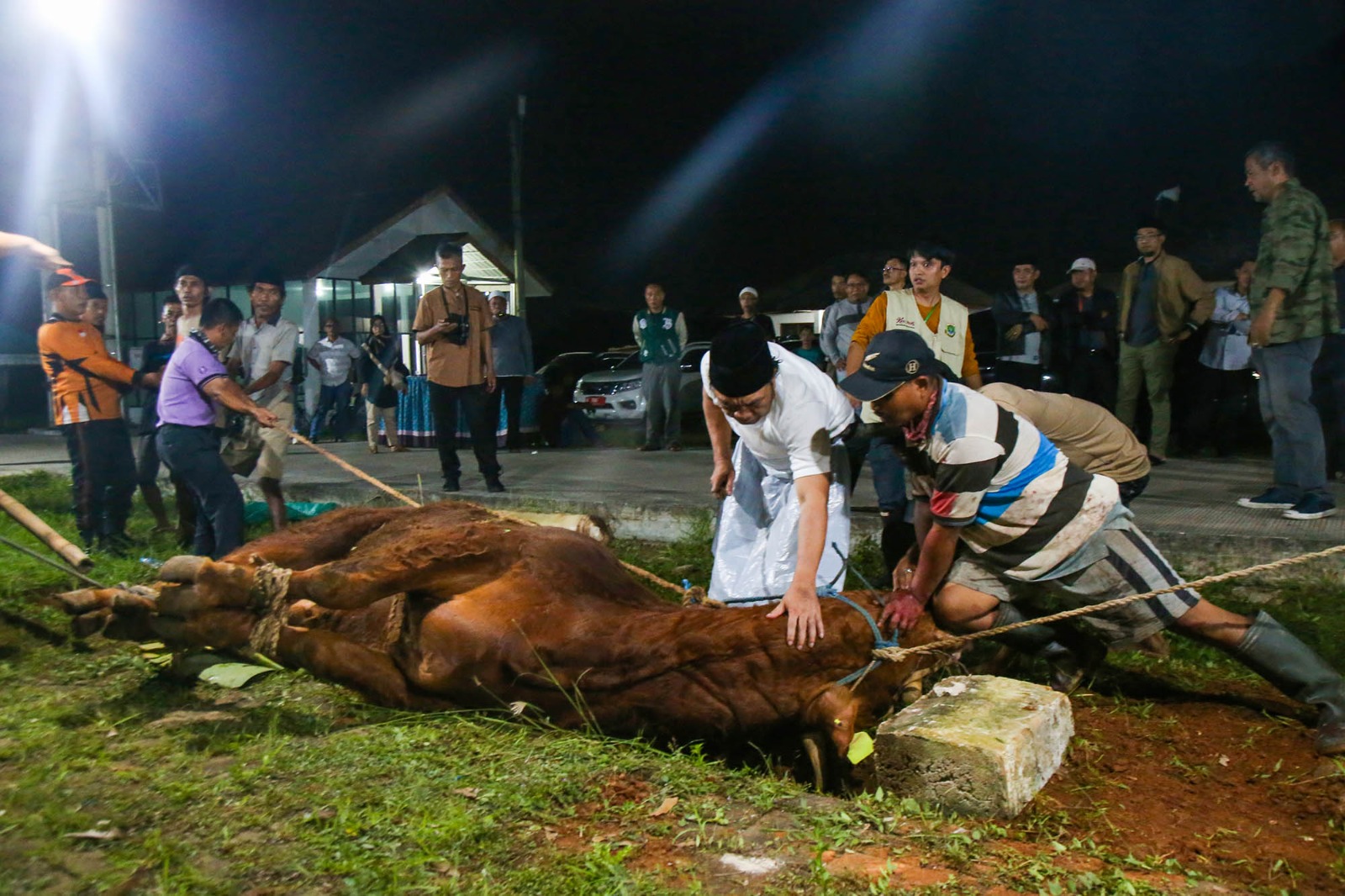 Penyaluran Daging Kurban, Pj Gubernur Banten Al Muktabar Ajak Masyarakat Sasar Anak Stunting