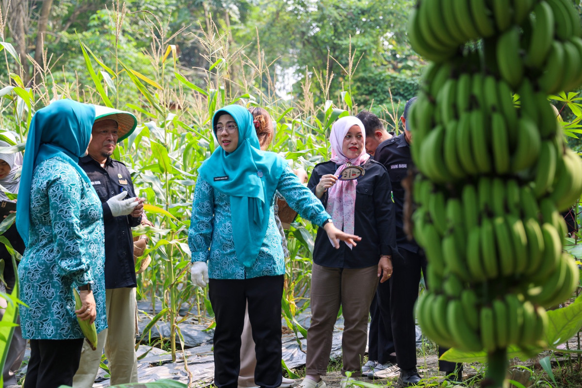 Ketua TP PKK Provinsi Banten Tinawati Andra Soni: Keluarga Turut Berperan Wujudkan Swasembada Pangan