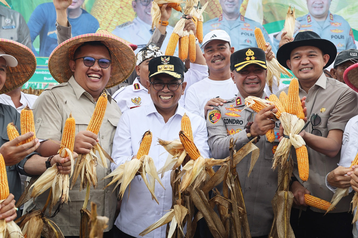 Intensifikasi Lahan, Gubernur Banten Andra Soni: Untuk Menuju Swasembada Pangan