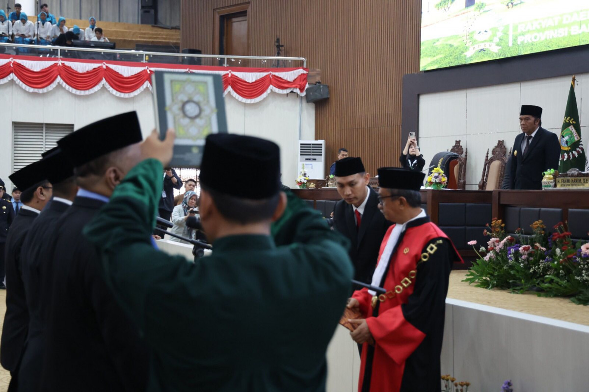 480/687-RLS.ADPIMPRO/X/2024