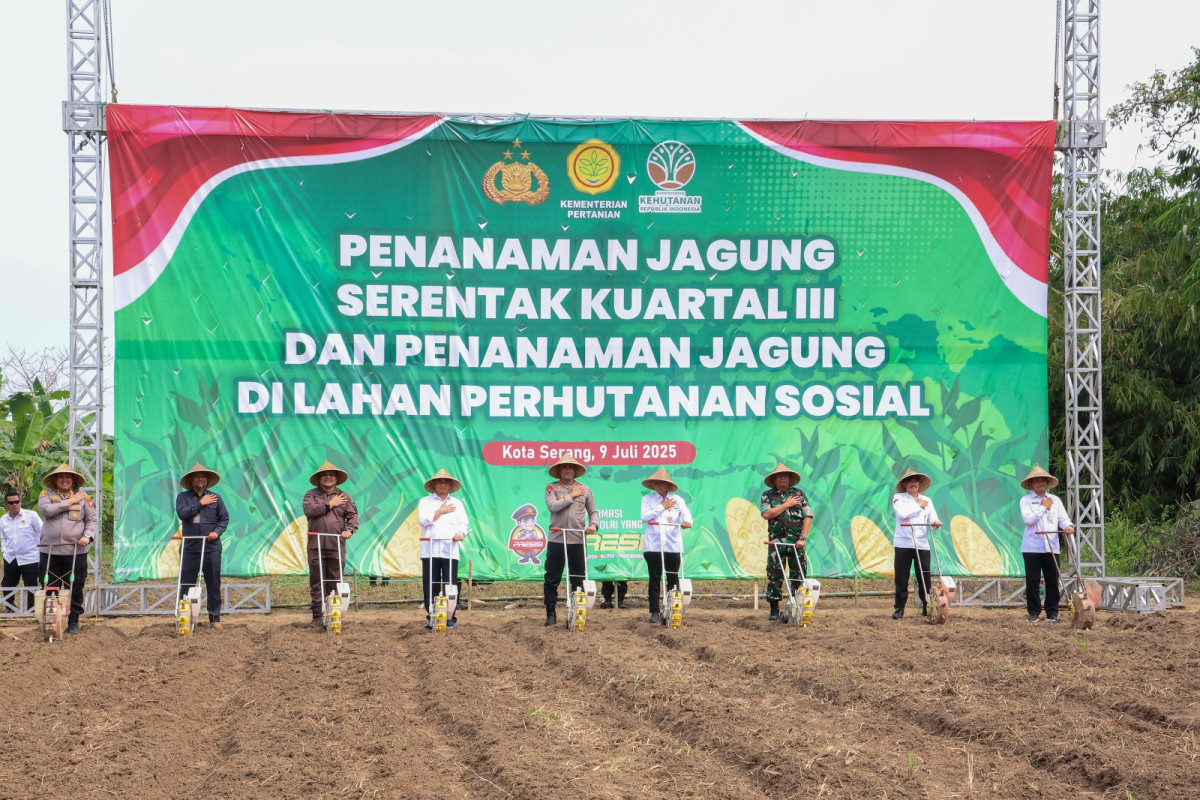Wagub Banten A Dimyati Natakusumah: Program Tanam Jagung Dorong Kemandirian dan Wirausaha Masyarakat