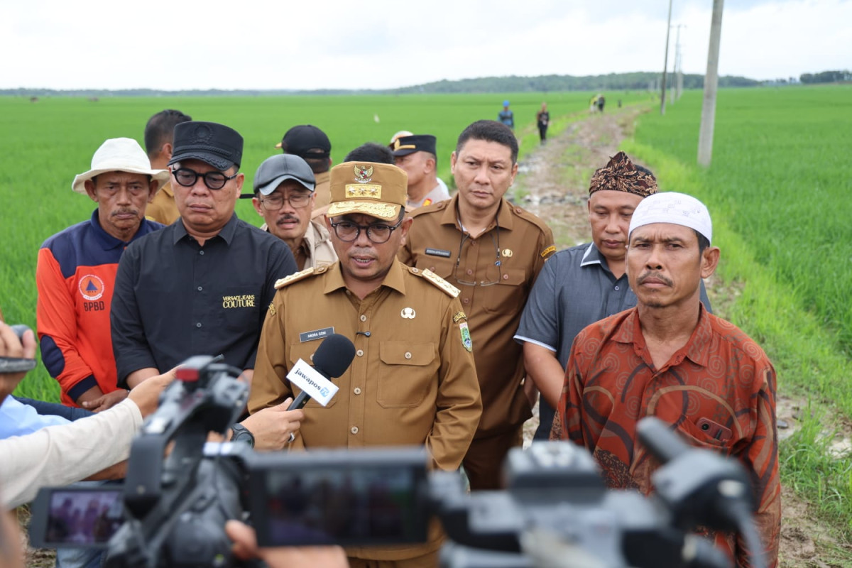 Gubernur Banten Andra Soni Tinjau Lokasi Program Jalan Usaha Tani