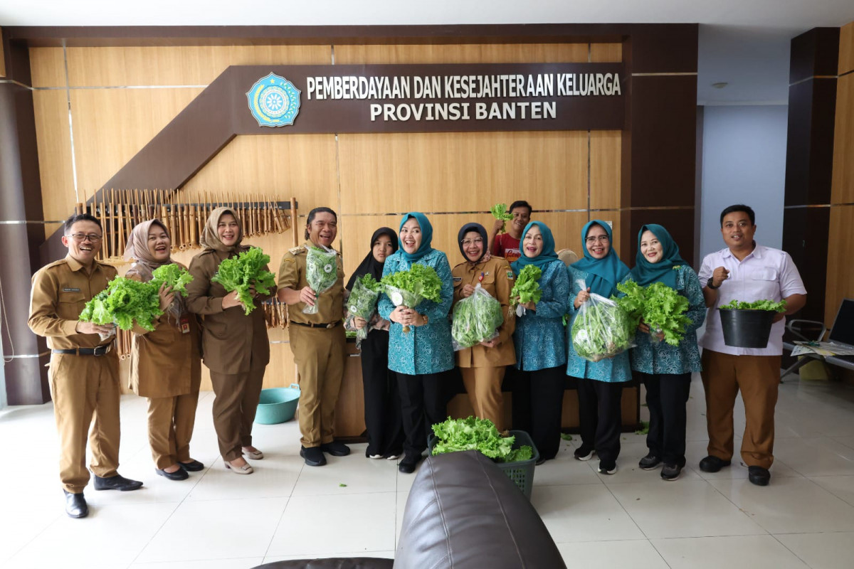 Pj Gubernur Al Muktabar Panen Kale Bersama TP PKK Provinsi Banten