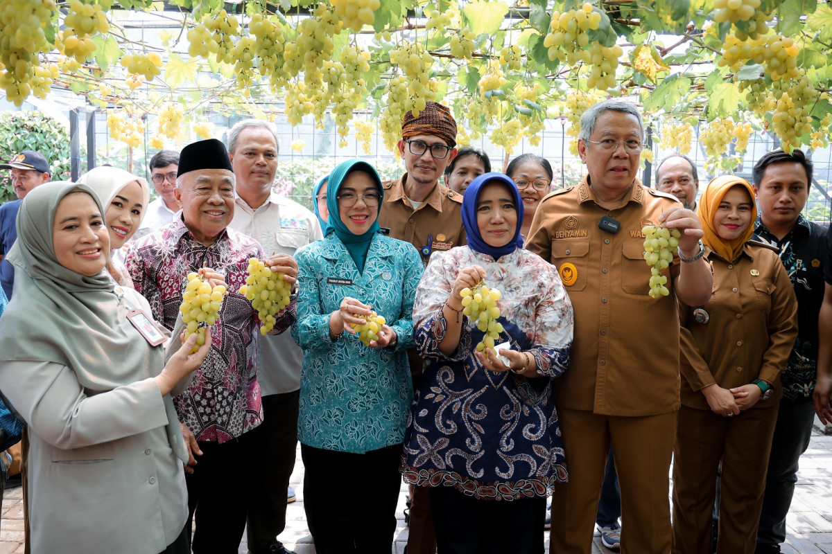 Ketua TP PKK Provinsi Banten Tinawati Andra Soni Ikuti Panen Anggur Ponjay Bendav Kota Tangerang Selatan