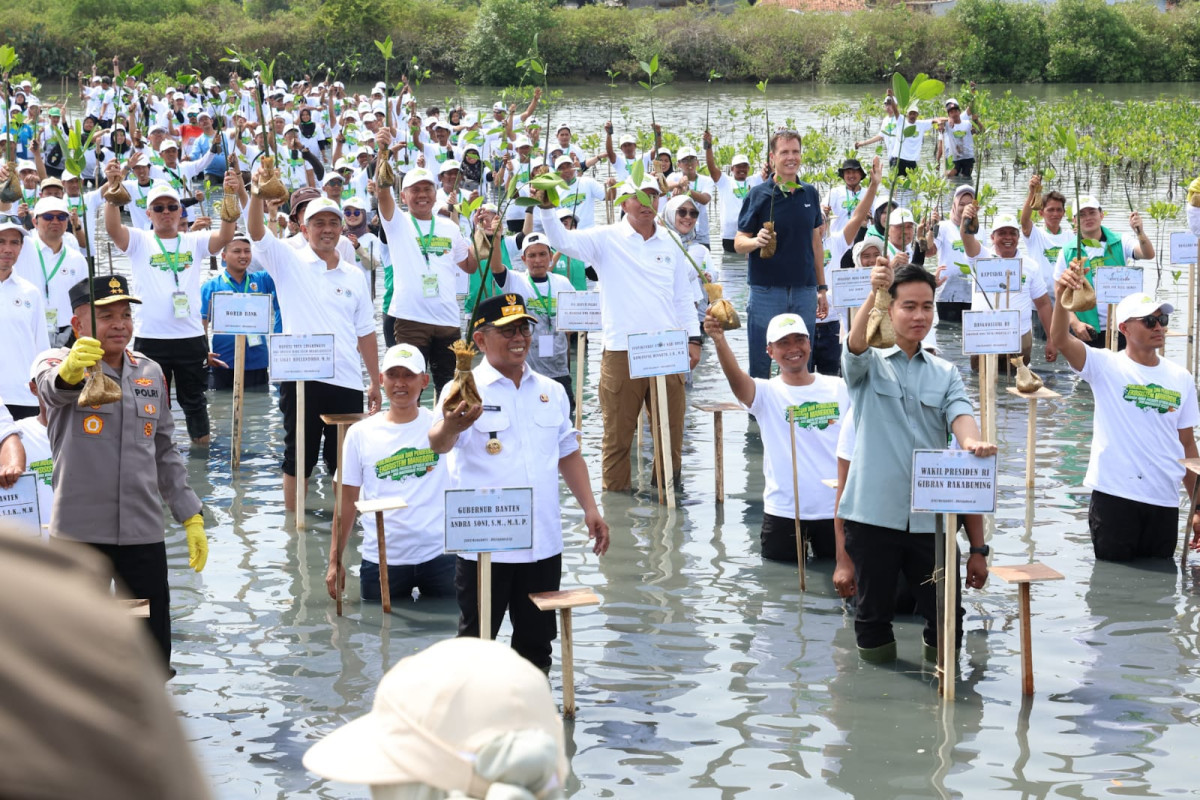 Wapres Gibran dan Gubernur Andra Soni Tanam Mangrove di Pesisir Mauk