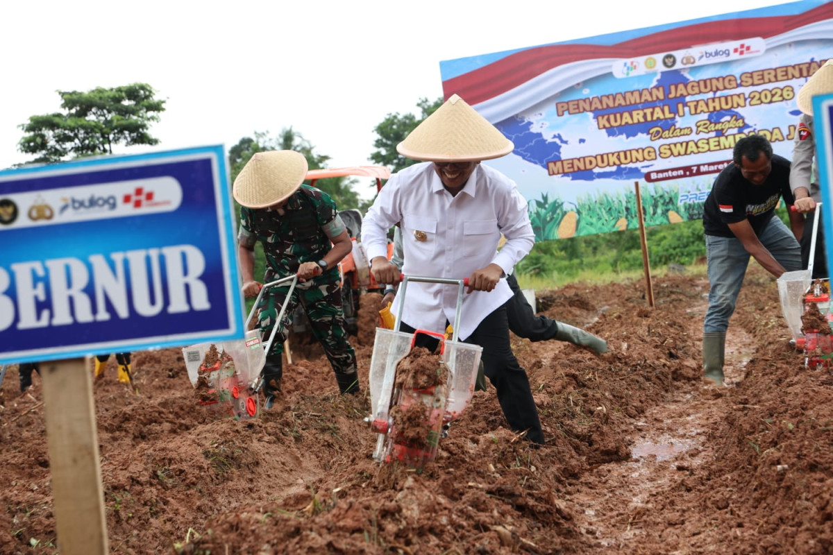 Perkuat Kolaborasi Lintas Sektor, Gubernur Andra Soni Dorong Banten Capai Swasembada Jagung
