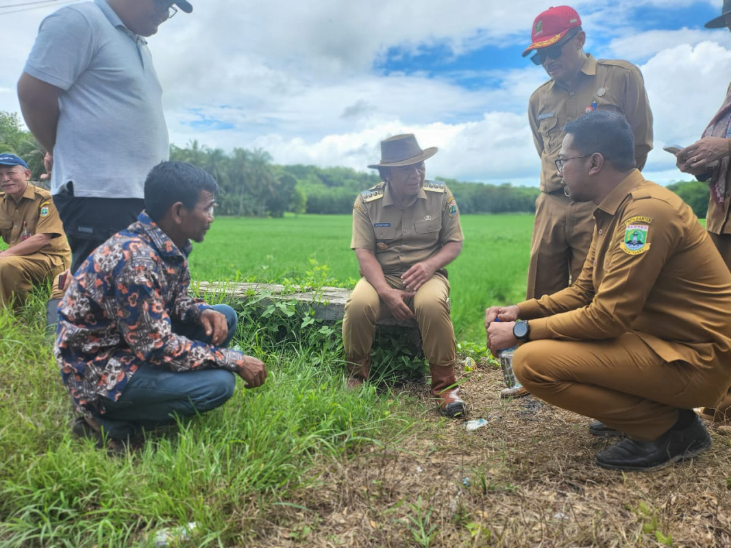 Tinjau Penangkaran Benih Padi, Pj Gubernur Al Muktabar Ingin Pastikan Ketahanan Pangan di Banten Terjaga dari Hulu Sampai Hilir