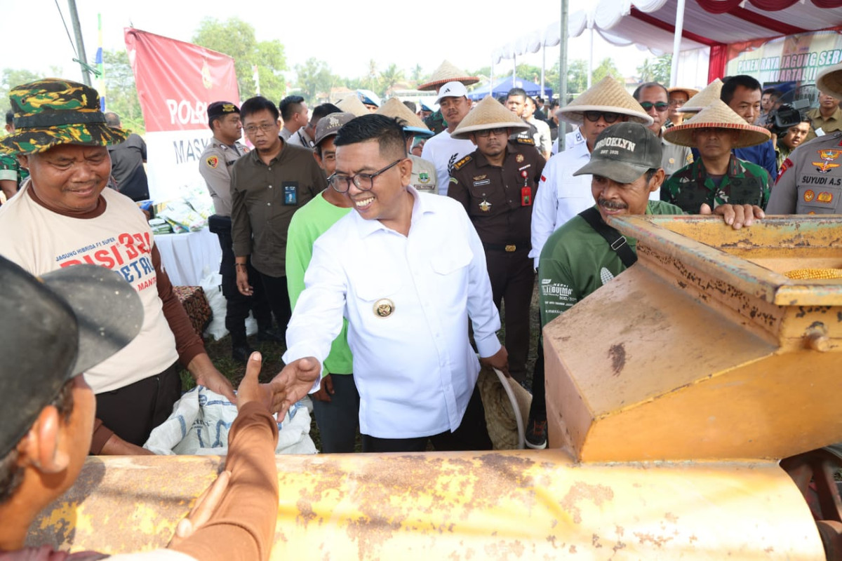 Perkuat Ketahanan Pangan, Gubernur Banten Andra Soni: Pemprov Banten Tingkatkan Produksi Tanaman Jagung