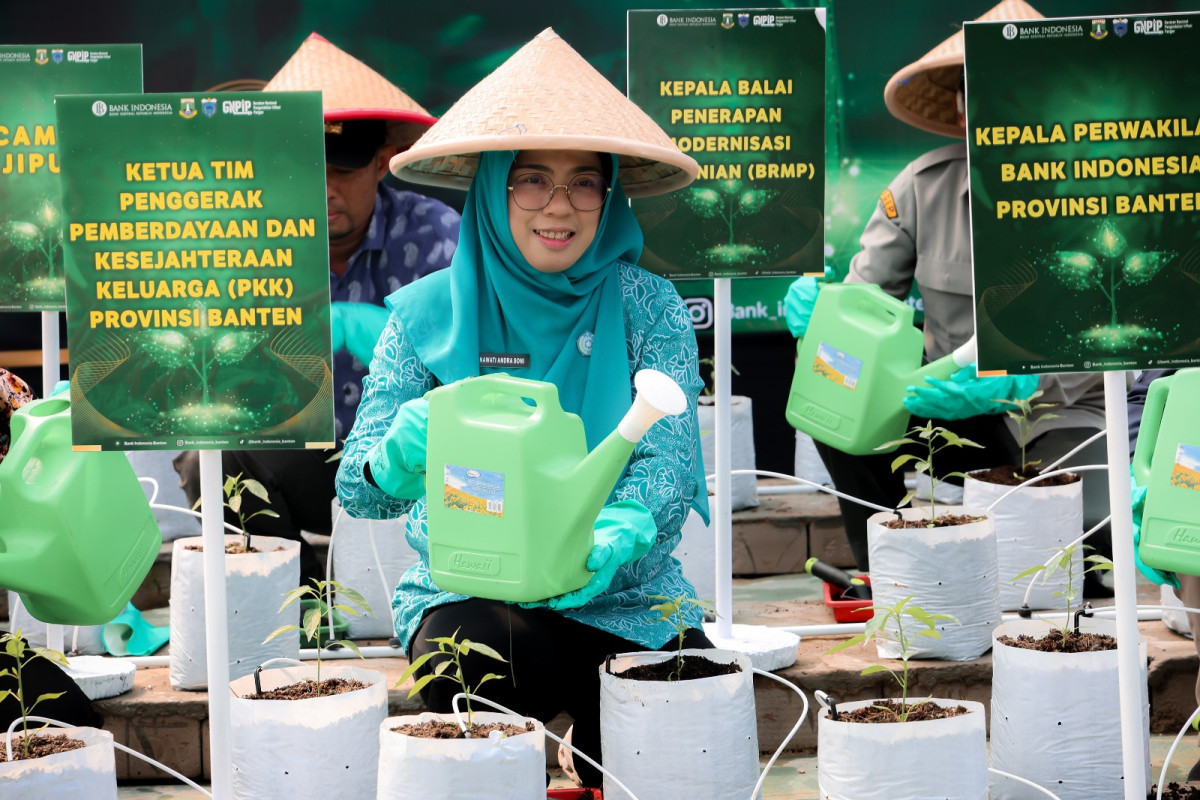Ketua TP PKK Provinsi Banten Tinawati Andra Soni Ajak Ibu Rumah Tangga Memaksimalkan Pekarangan Rumah