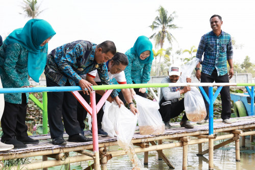 Pj Gubernur Banten Al Muktabar Bersama Wali Kota Serang dan Ketua TP PKK Provinsi Banten Tine Al Muktabar Tebar 1000 Benih Ikan Nila